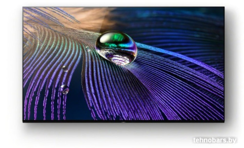 OLED телевизор Sony XR-55A90J фото 4