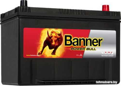 Автомобильный аккумулятор Banner Power Bull P95 04 (95 А·ч) фото 3