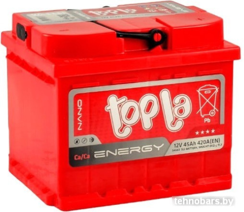 Автомобильный аккумулятор Topla Energy E45 (45 А·ч) фото 3