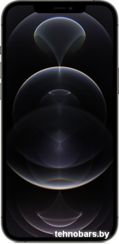 Смартфон Apple iPhone 12 Pro Max 256GB (графитовый) фото 4