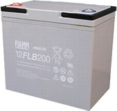 Аккумулятор для ИБП FIAMM 12FLB200P (12В/55 А·ч)
