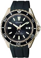 Наручные часы Citizen BN0193-17E