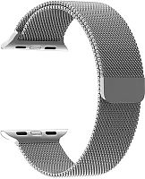 Ремешок Lyambda Capella для Apple Watch 42-44 мм (серебристый)