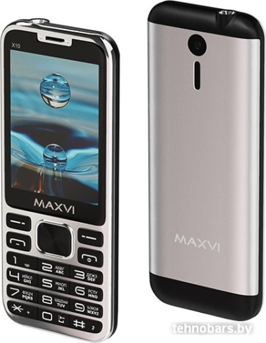 Мобильный телефон Maxvi X10 (серебристый) фото 4