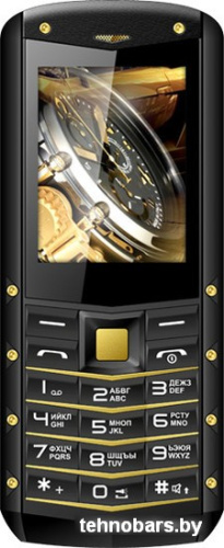 Мобильный телефон TeXet TM-520R (черный-золотистый) фото 3