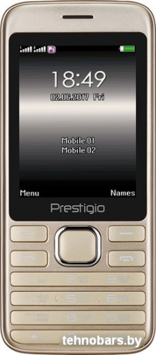 Мобильный телефон Prestigio Grace A1 (золотистый) [PFP1281DUO] фото 3