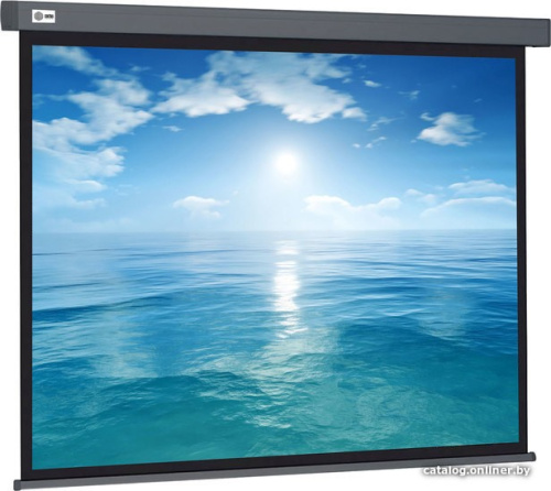 Проекционный экран CACTUS Wallscreen 104x186 CS-PSW-104X186-SG фото 3