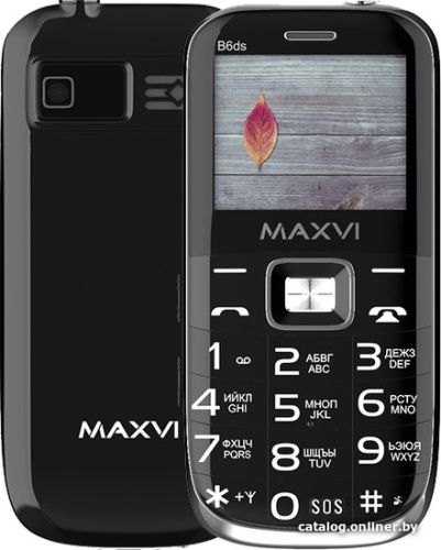 Кнопочный телефон Maxvi B6ds (черный) фото 3