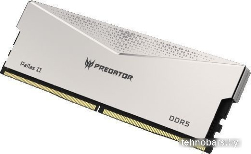 Оперативная память Acer Predator Pallas II 2x32ГБ DDR5 6000 МГц BL.9BWWR.376 фото 4