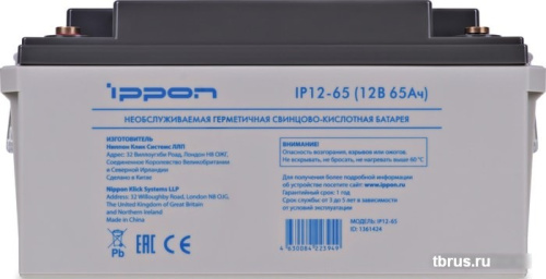 Аккумулятор для ИБП IPPON IP12-65 (12В/65 А·ч) фото 5