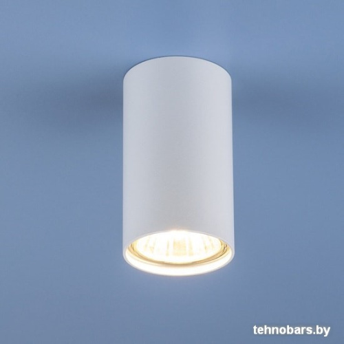 Точечный светильник Elektrostandard 1081 GU10 (White) фото 3
