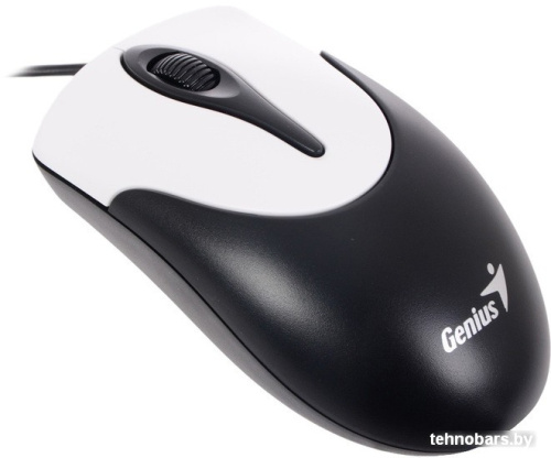 Мышь Genius NetScroll 100 V2 (черный) фото 4