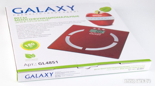 Напольные весы Galaxy GL4851 фото 5