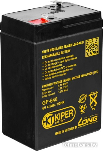 Аккумулятор для ИБП Kiper GP-645 F1 (6В/4.5 А·ч) фото 3