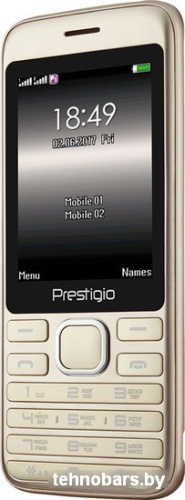 Мобильный телефон Prestigio Grace A1 (золотистый) [PFP1281DUO] фото 5