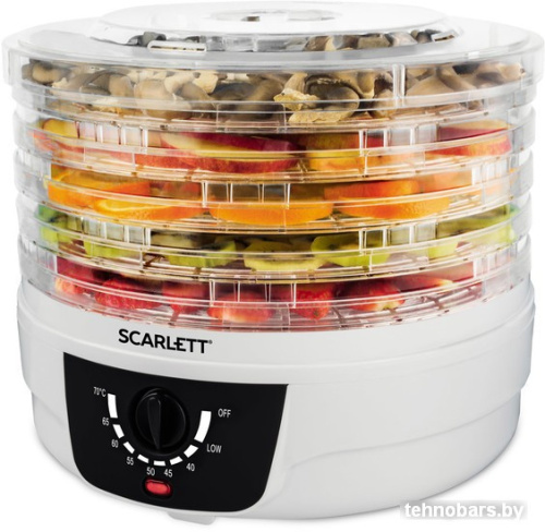 Сушилка для овощей и фруктов Scarlett SC-FD421004 фото 4