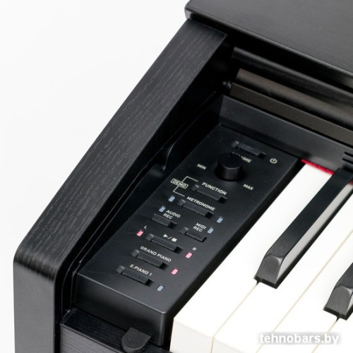 Цифровое пианино Casio Privia PX-870 (коричневый) фото 5