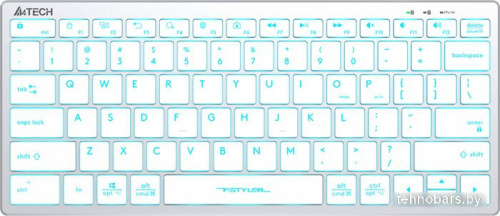 Клавиатура A4Tech Fstyler FX61 (серебристый/белый) фото 3