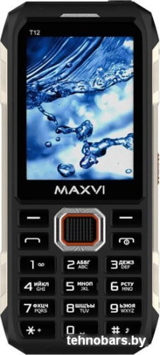 Мобильный телефон Maxvi T12 (черный) фото 4