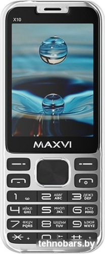 Мобильный телефон Maxvi X10 (серебристый) фото 5